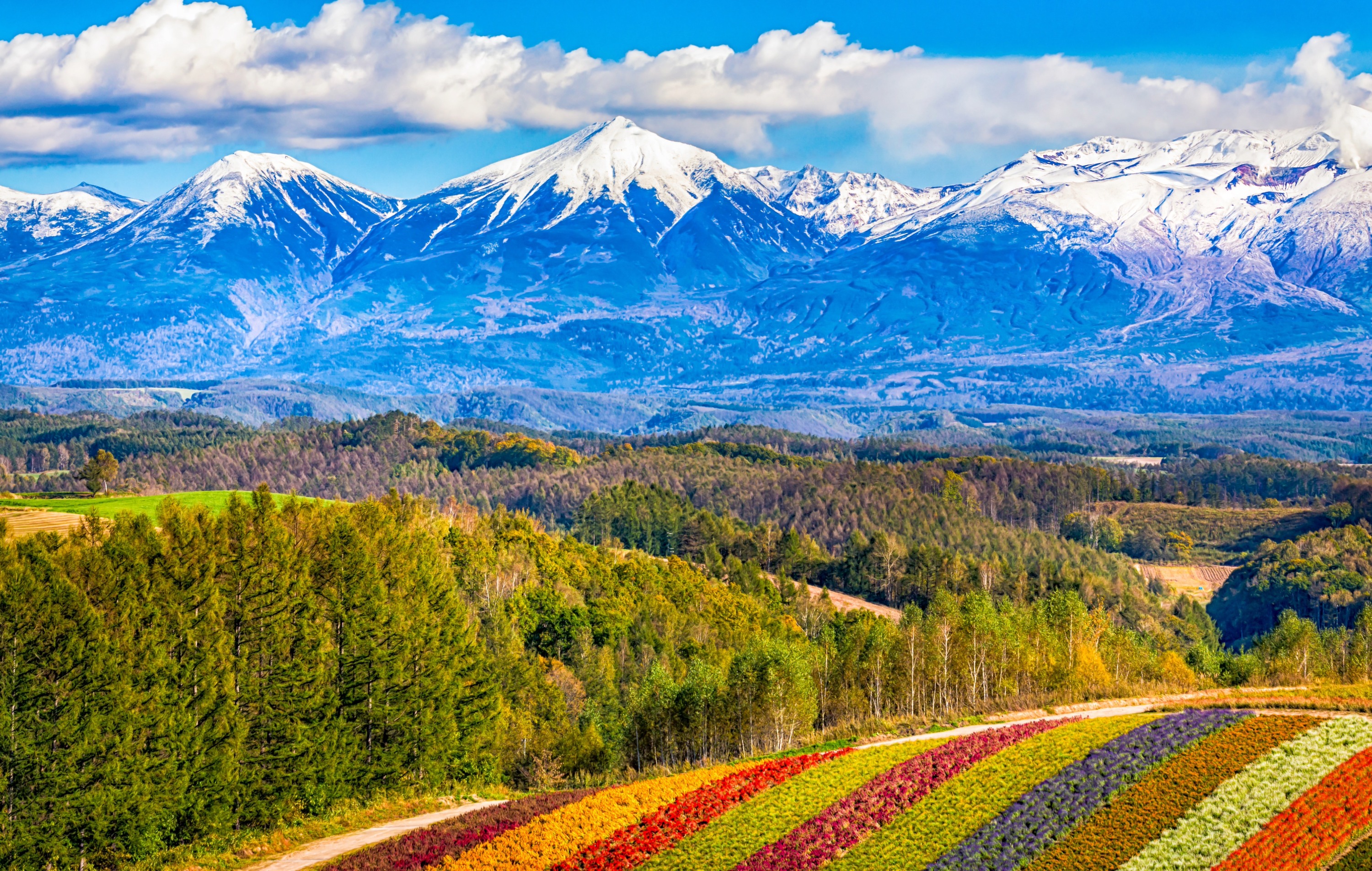 A breathtaking panoramic landscape of Shikisai-no-Oka in Biei, Hokkaido, Japan, showcasing vibrant flower fields against a backdrop of majestic mountains